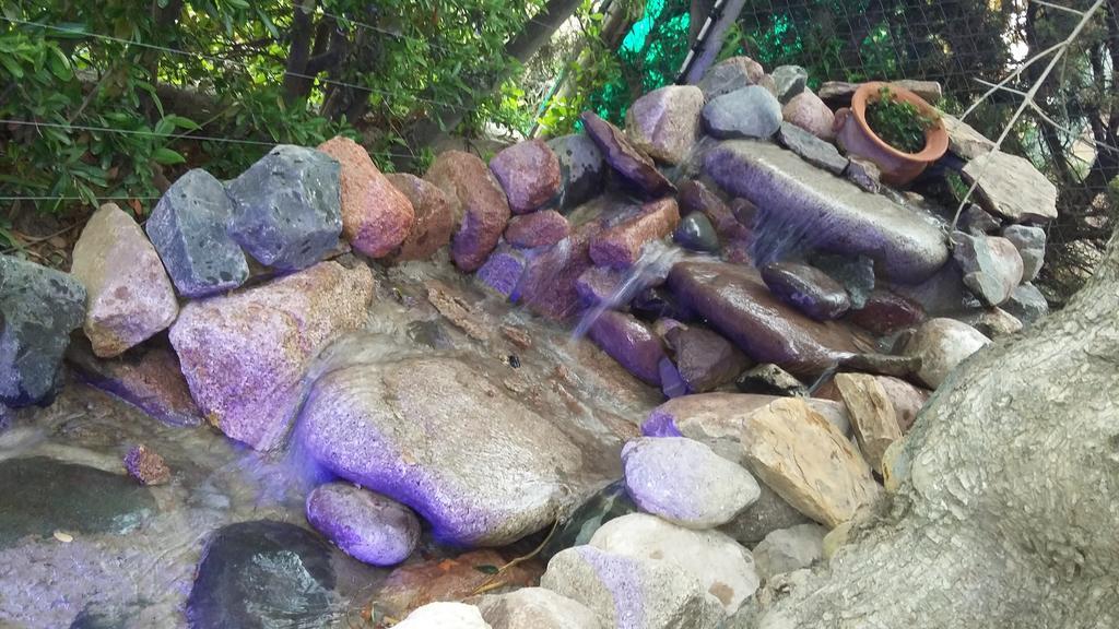Guesthouse El Tata Vistalba Bilik gambar