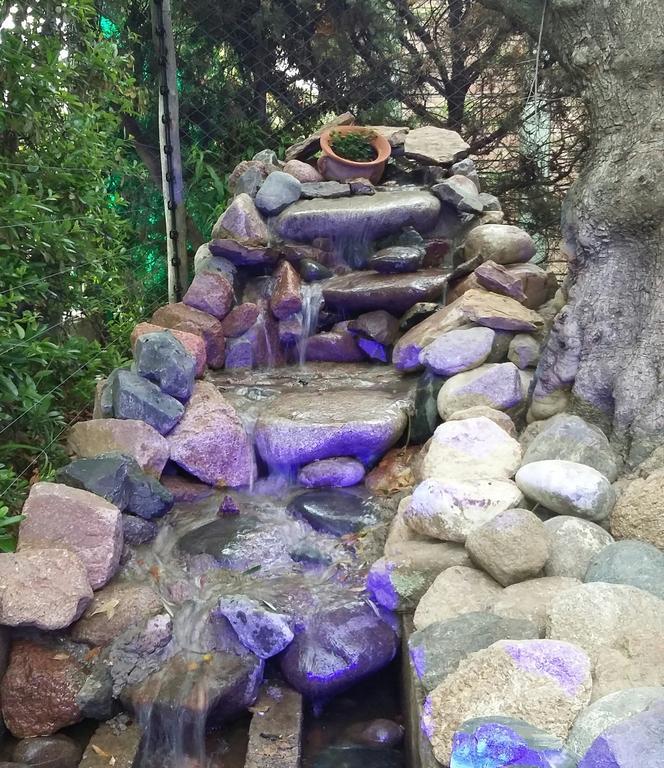 Guesthouse El Tata Vistalba Bilik gambar